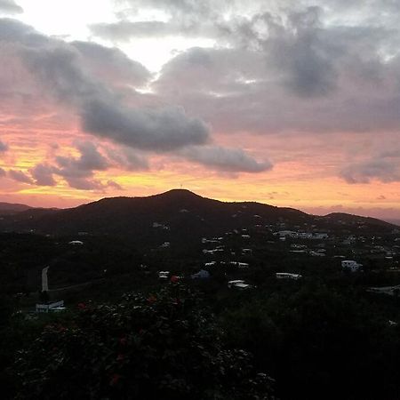 Вилла Caribbean Splendor With Million Dollar Views Кристианстед Экстерьер фото
